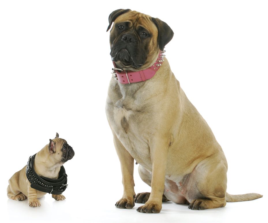 The Gossip Column: February 11, 2022